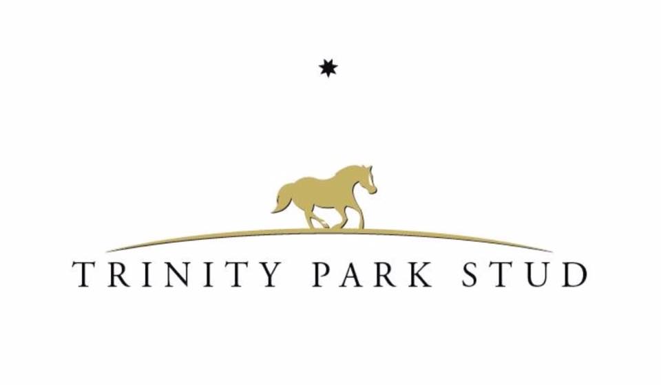 Paint Horse Association of Australia Home